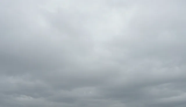 技术转让中的性能问题解决与处理流程